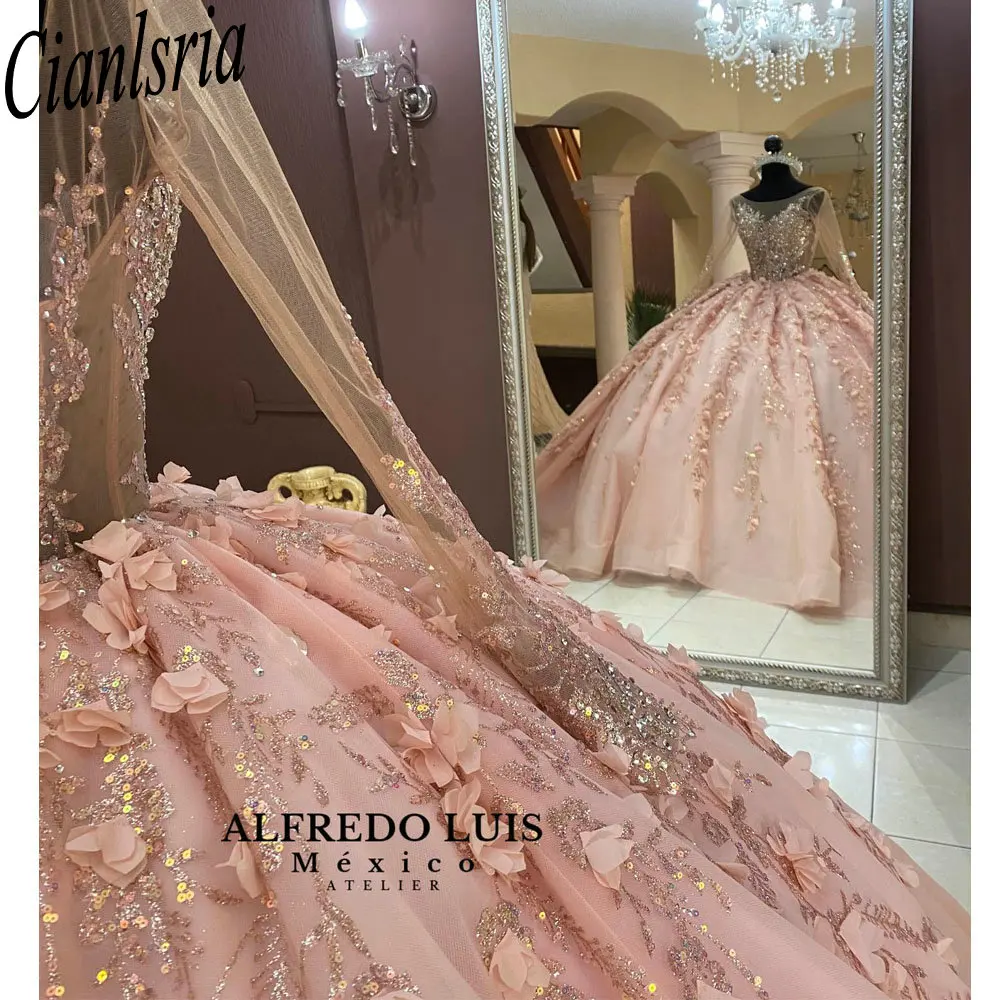 Pink Illusion Long Sleeve Beading Crystal Quinceanera Dresses Ball Gown 3D Flowers Appliques Lace Sweet 15 Birthday Party image 4