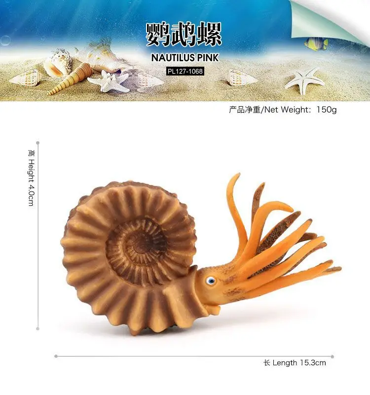 Figurine de simulation sous-marine pour enfants, amulette de créature, modèle de Nautilus, plastique solide, jouet pour enfants, figurine d'ornement