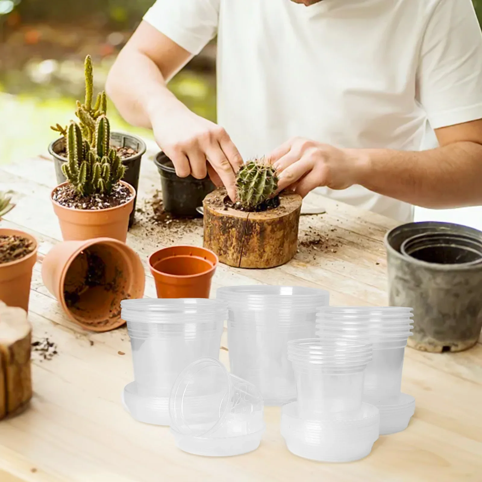 

Clear Flowerpot Drainage Hole Pot Indoor Gardening Root Growth Visibility For Herbs For Indoor Gardening Terrarium