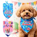 birthday pet bibs