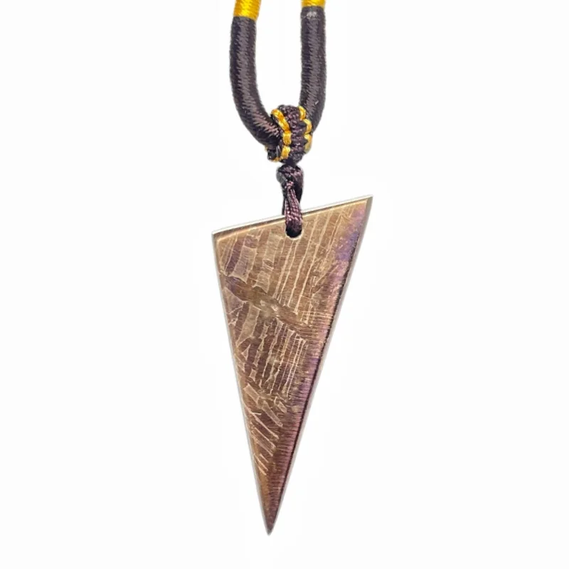 pendentif-en-meteorite-muonionalusta-de-163-g-pendentif-en-meteorite-de-fer-naturel-tranche-de-meteorite-collection-lk329