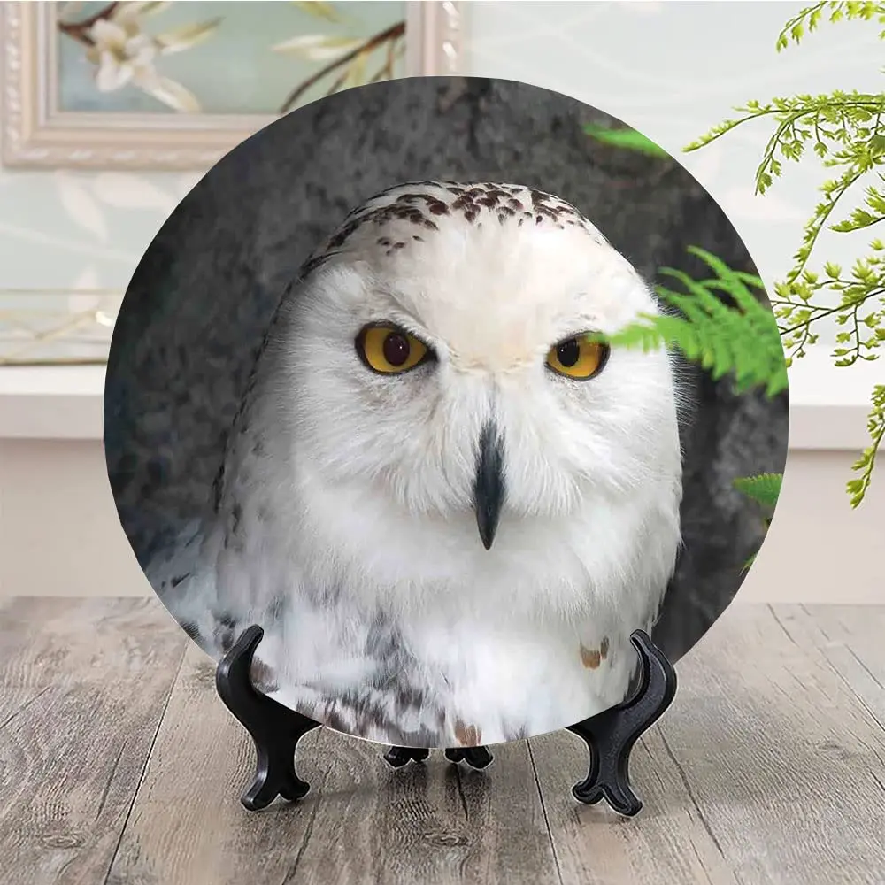 Ceramic Plates, Wizard Decorative Ceramic Plates, Pattern White Owl Themed Animal Green, Household Plates Decorative