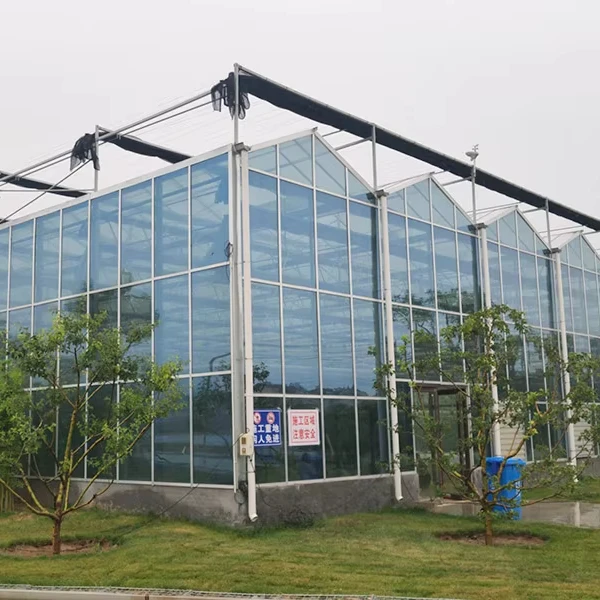 

Customized greenhouseMulti-Span Venlo Glass Greenhouse Commercial Agricultural Greenhouse High Light Transmission & Energy Effic