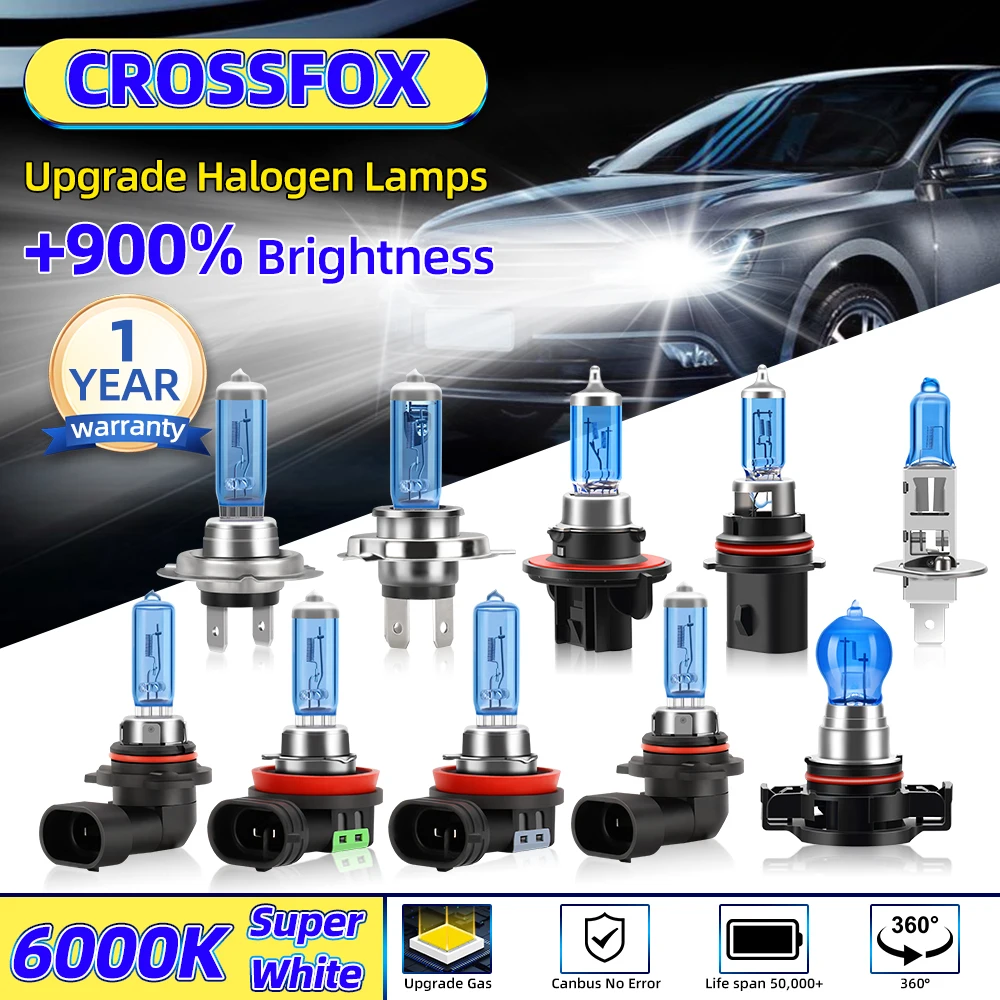 

2Pcs H1 H4 H7 H11 H13 HB3 9005 HB4 9006 Car Headlight Bulbs 12V 100W H9 880 9145 9012 5202 Halogen Lamps 6000K White Fog Lights