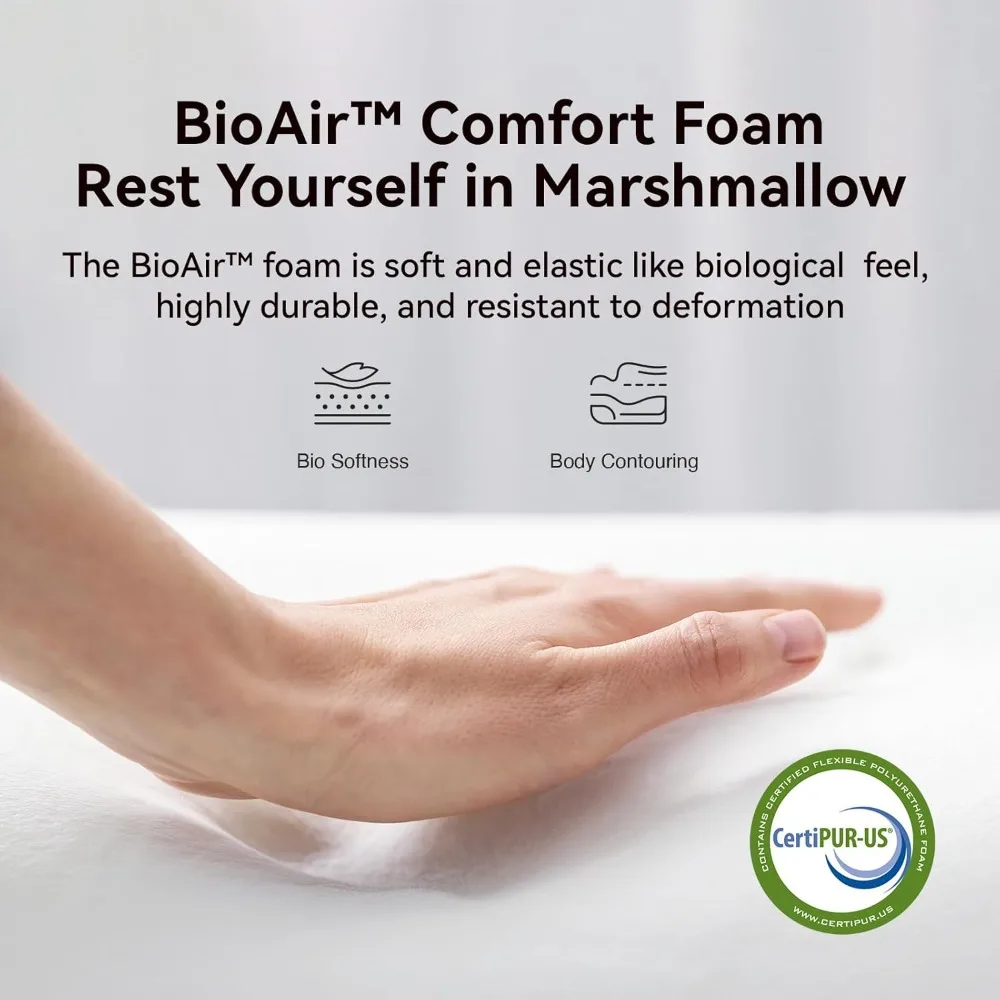 مرتبة مزدوجة مقاس 6 بوصات في صندوق مع Smarts ™ تقنية الملف لتخفيف الضغط ودعم الرغوة القطيفة المتوسطة #3