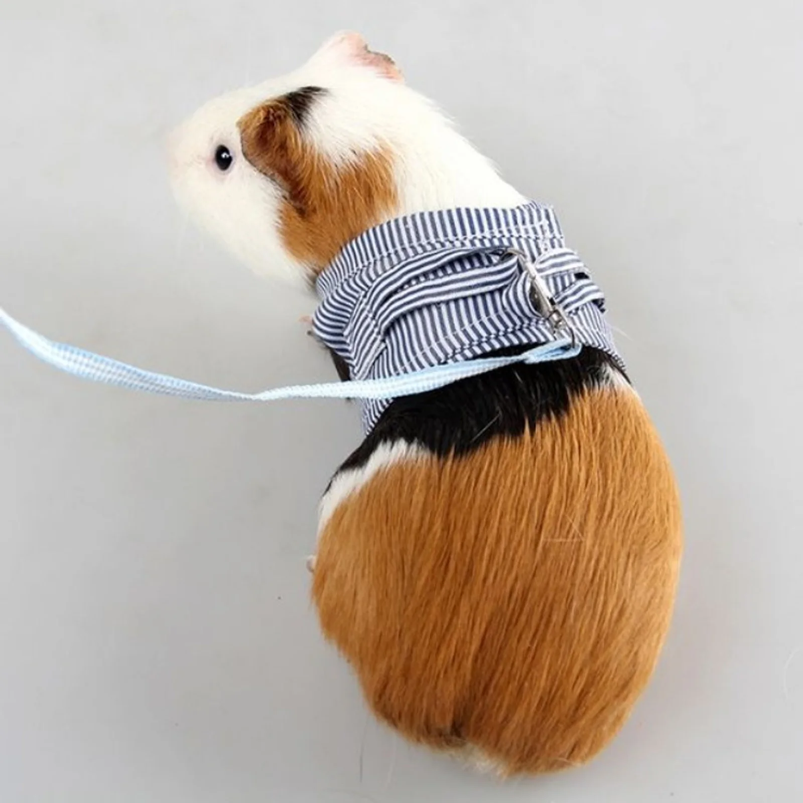 

Pet Harness Small Cotton Comfortable Machine Washable Guinea Squirrel Hedgehog Ferret Leash All Season Easy