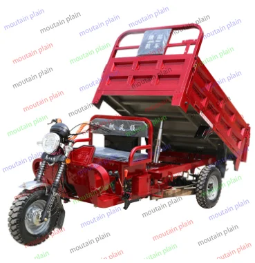 Three Wheeled Motorcycle Water Cooled Fuel Gasoline Engine for Transportation Agricultural Use Household Assistance