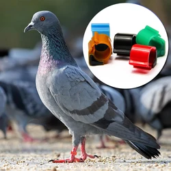 Etiqueta de anillo de Paloma RFID de 134,2 KHz Hitag S256, banda para el pie, etiquetas de carreras ABS impermeables para gestión de seguimiento, 2 uds./lote