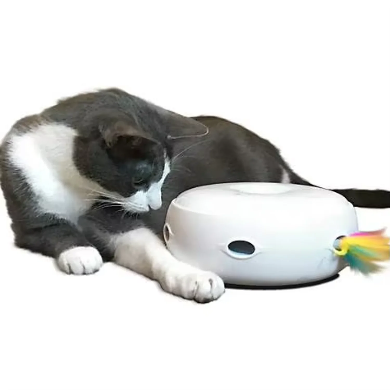 

Donut Shape Interactive Smart Cat Toy Dog Toy Pet toys with Feather