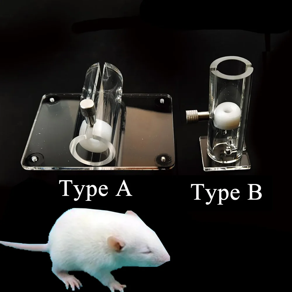 1PCS Professional Mouse Fixation Device Rat 15g 25g 50g 180g 250g Transparent Vertical Laboratory Science Lab Tools Supplies
