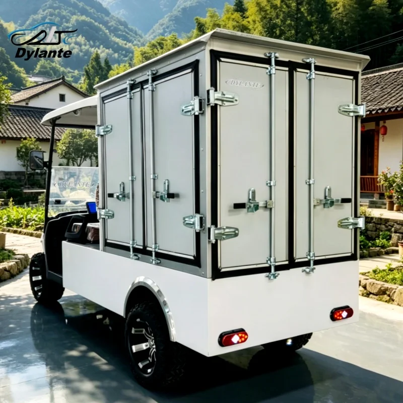 Personalized Custom Mini 2 Seat 5kW Electric Golf Cart Low-Price Custom Lithium Battery Van Version Golf Cart Off-Road Legal