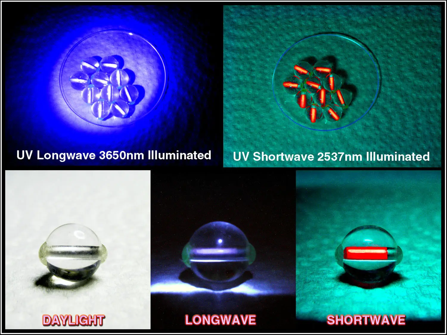 2 in 1 Yooperlites Fluorescent  Long Wave UVA 365 Nano Short Wave UVC 254 Nano UV Light UV Black Light