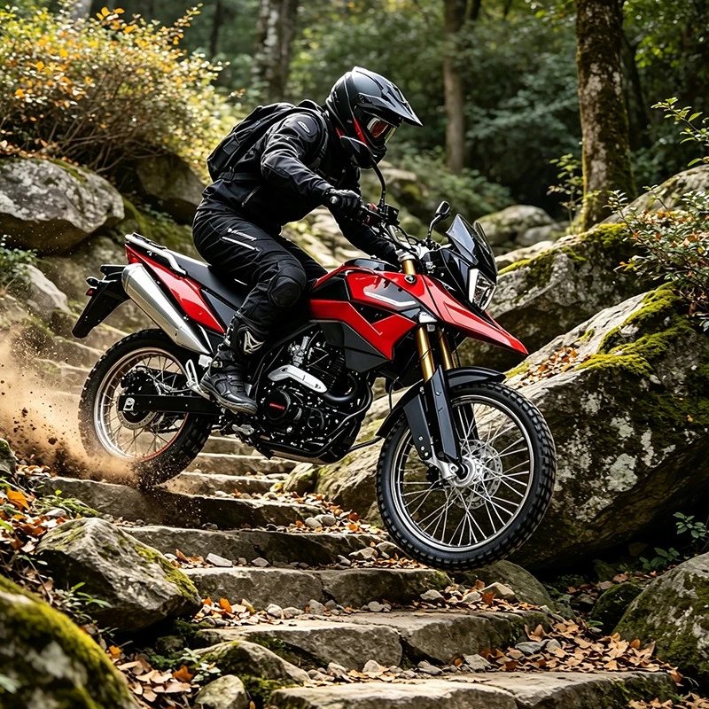 Rs Off-road motorcycle 3rd generation 300cc off-road motorcycle 5-speed variable speed off-road vehicle brand new