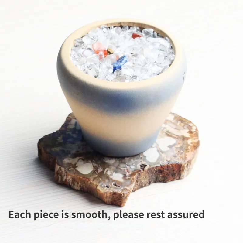 300-700g Large Natural Home Decorations Minerals Crystal Woodstone Fossil Tree for Coaster Desk Decoration