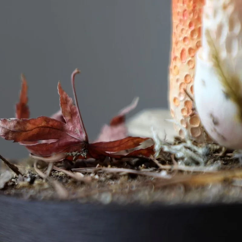 Ręcznie Robione Ozdoby Grzybki Czerwonego Grzyba Pieprzowego Zabawki Dekoracje na Biurko Personalizowane Grafiki Kolekcja Dekoracja Prezent