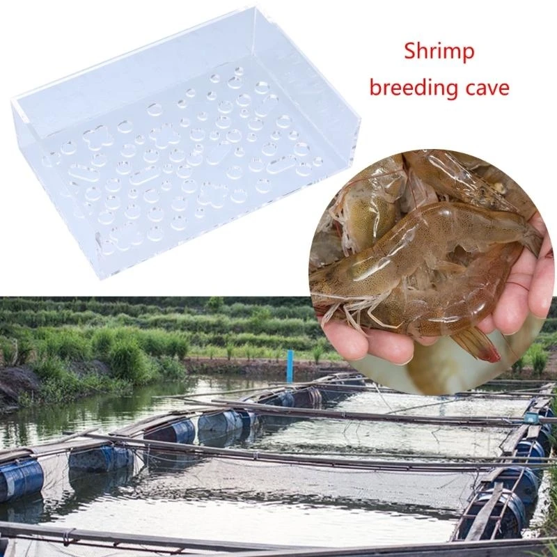 

Compact Shelter for Shrimp Breeding in Aquatic Habitats Health Boosting Refuge