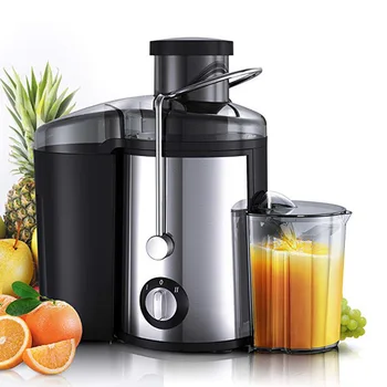 800W Stainless Steel Juicer 1