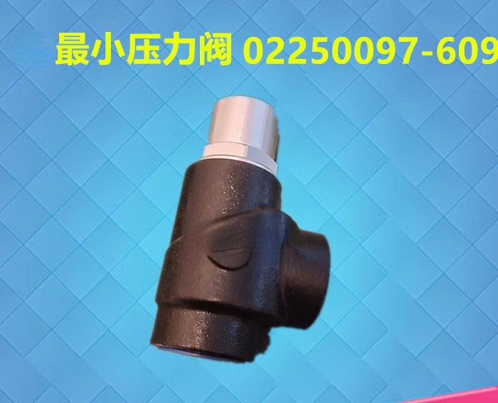 Air Compressor Pressure Valve 02250097-609 Minimum Pressure Maintenance Valve Suitable for Pressure Regulating Valve