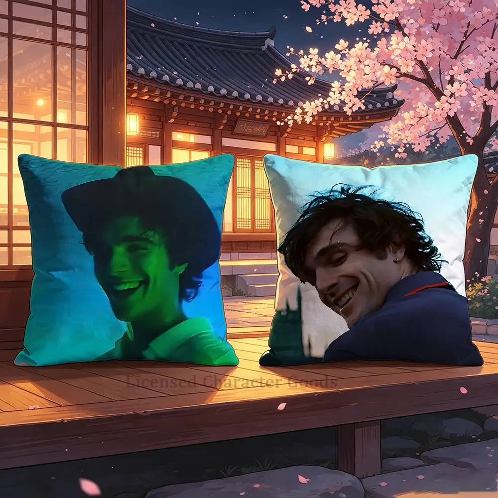 J-Jacob E-Elordi 30x30 60x60 40x40 45x45 50x50 cm Pillow Case Holiday Print Cushion Cover Home Textile