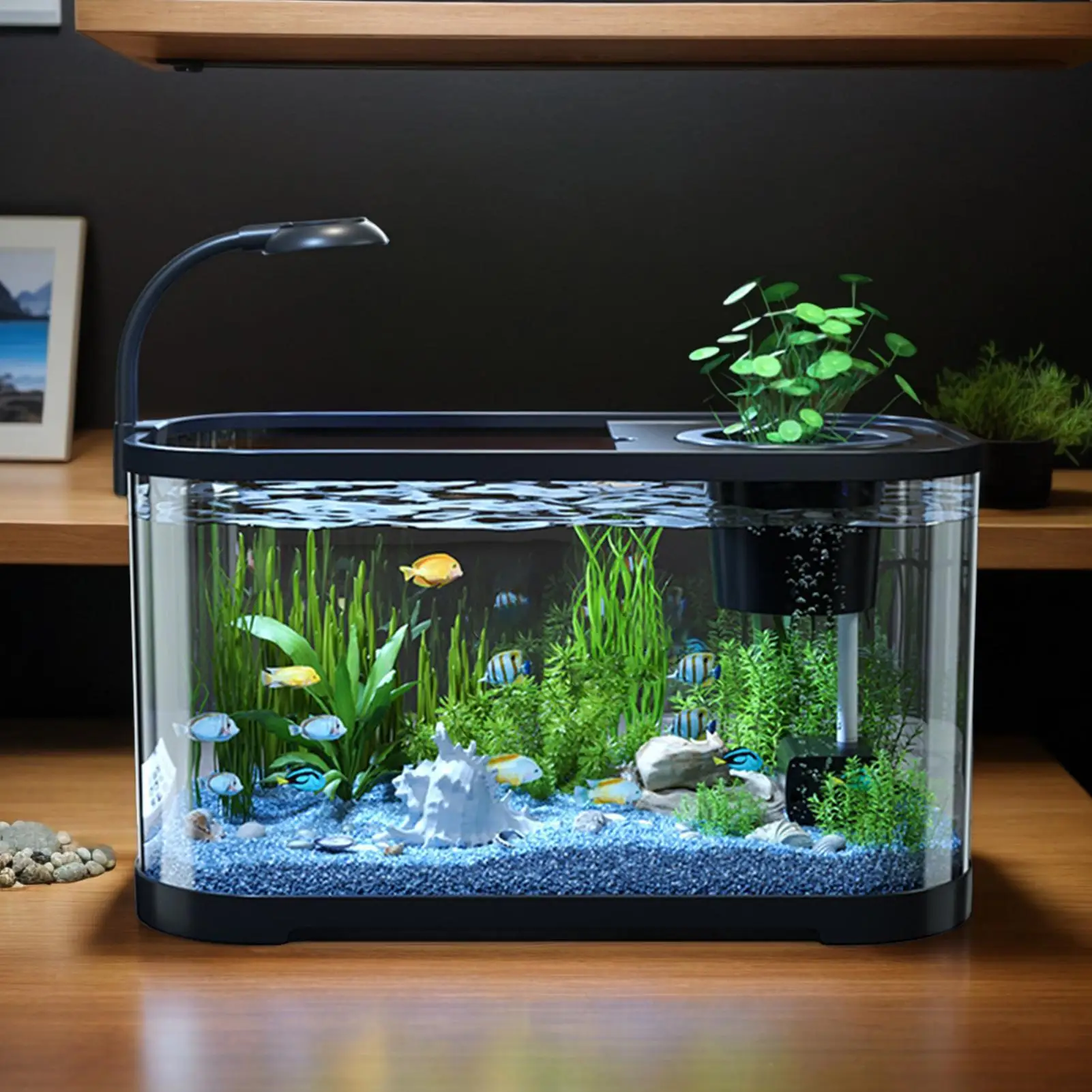 Kits de iniciación de acuario, pecera pequeña Betta, pecera decorativa silenciosa para tortugas, animales acuáticos, acuario de escritorio transparente