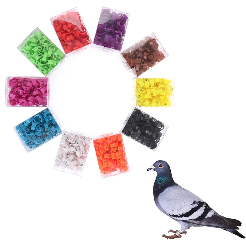 100PCS anello per piede di pollo dimensioni regolabili gamba per pollame etichetta digitale anello con fibbia 6 colori plastica pulcino anatra oca attrezzatura agricola