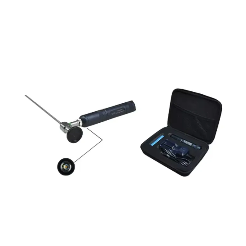 mini-source-de-lumiere-led-d'endoscopie-veterinaire-portable-10w-pour-utilisation-orl-et-chirurgicale