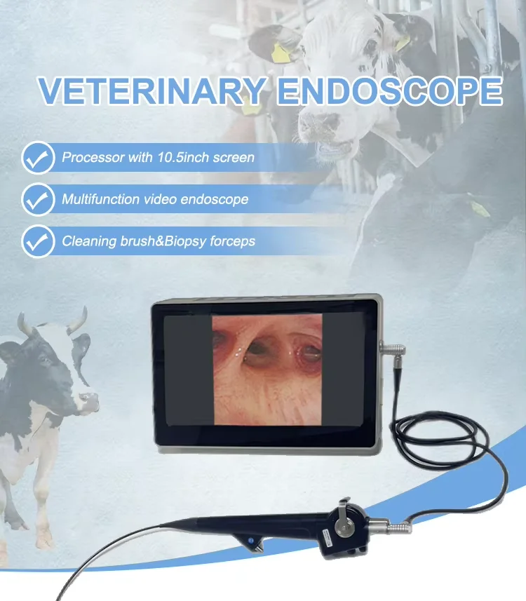2026 New VET-0703 Electric Power Source Flexible Endoscope For Cats And Dogs Veterinary Bronchoscope For Animals