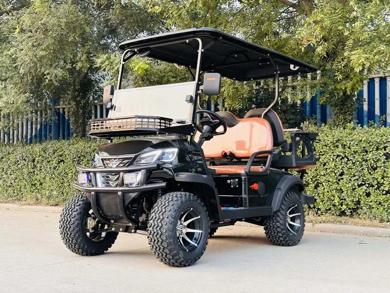 فاخر أعلى التكوين مقاعد السيارة الكهربائية الصيد عربة جولف كهربائية سكوتر الغولف على الطرق الوعرة عربة جولف مركبة كهربية #3