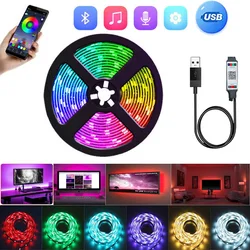 5V USB LED Strip Lights RGB Tape 5050 2835 0.5m- 5m Bluetooth Flexible Lamp Tape Diode Ribbon TV Backlight With Remote Control