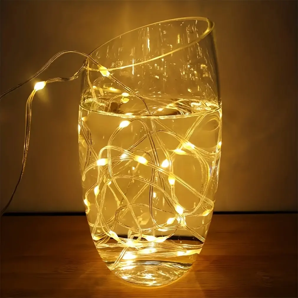 USB Eight Function Remote Control Copper Wire Lights Outdoor Waterproof Leather String Lights Christmas Decoration Color Light