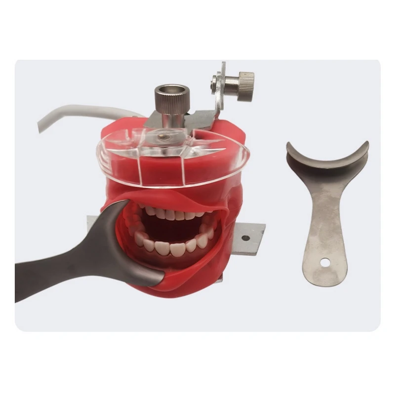 1Pcs Dental T-Shape Cheek Lip Retractor Stainless Steel Intraoral Opener Mouth Expanders for Photography Tooth Whitening