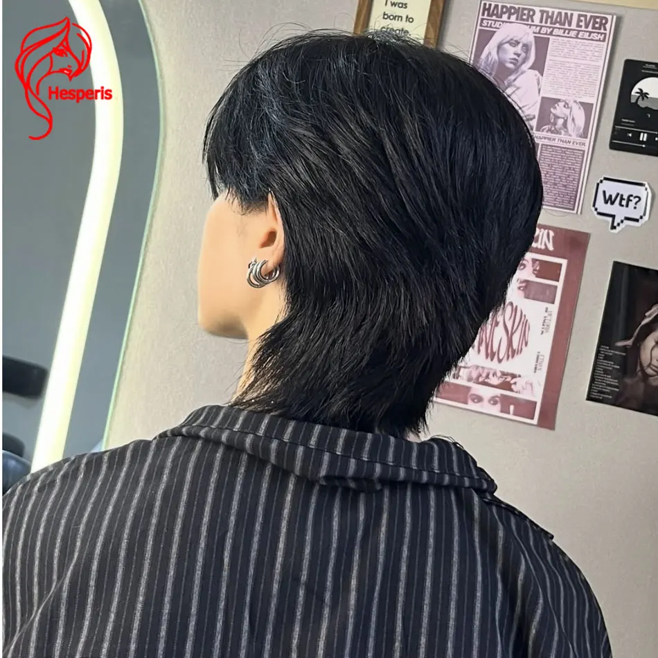 Hesperis Short Pixie Cut Wigs For Men Human Hair Natural Color 13x6 Male Short Wigs Glueless Remy Human Men's Hair With Bang