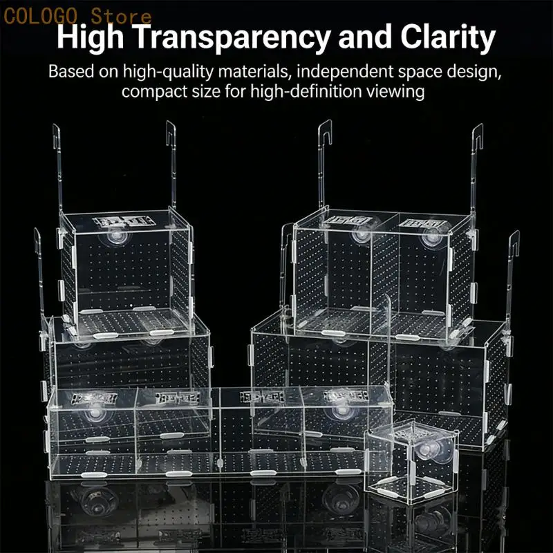 Strong Acrylic Water Life Division Box With Two Compartments 15x15cm Base D0LD
