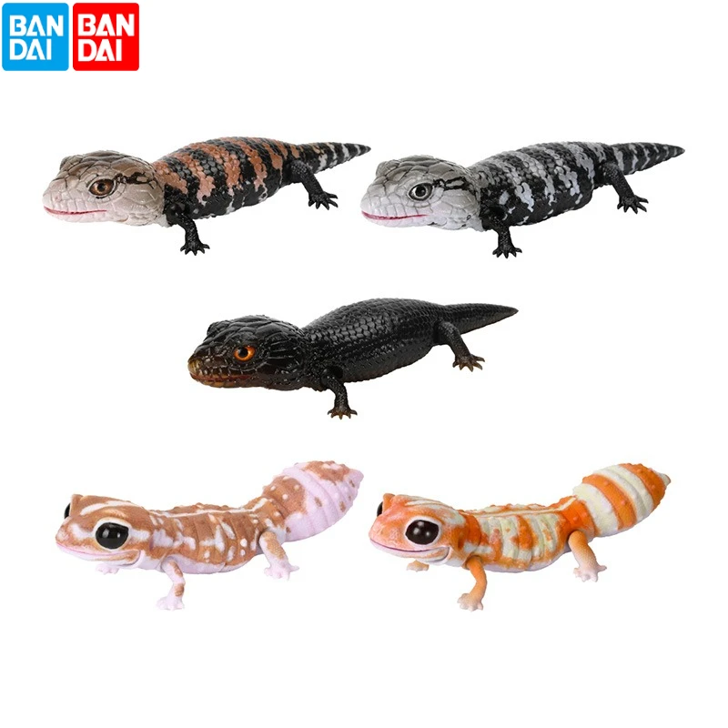 Original Bandai Gashapon Big Biological Map Gecko Lizard Blue-tongued Skink Simulation Movable Animal Action Figure Model Toy