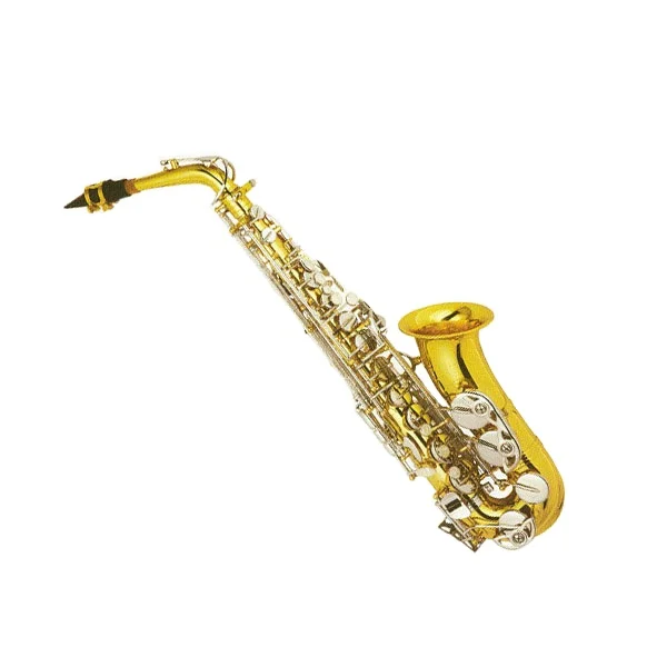 

High Grade Two Color Alto Saxophone