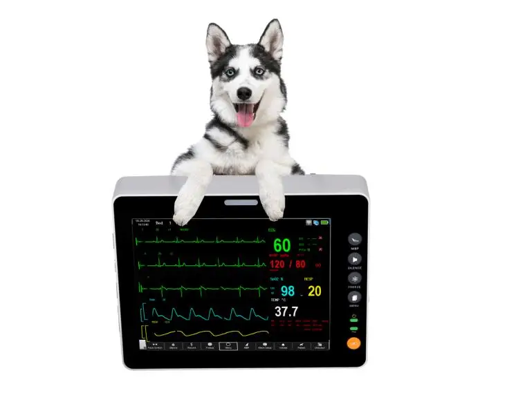 

PDJ-V2000B Veterinary Patient Monitor 8-Inch Screen Animal Vet Patient Monitor