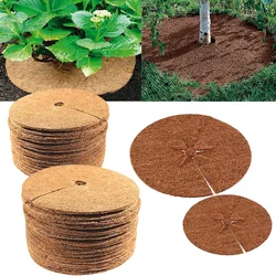 Cocoanut Mat Round Cocoanut Mat Cocoanut Mat Planter Mat Flat Grass Mat Cocoanut Mulch mat
