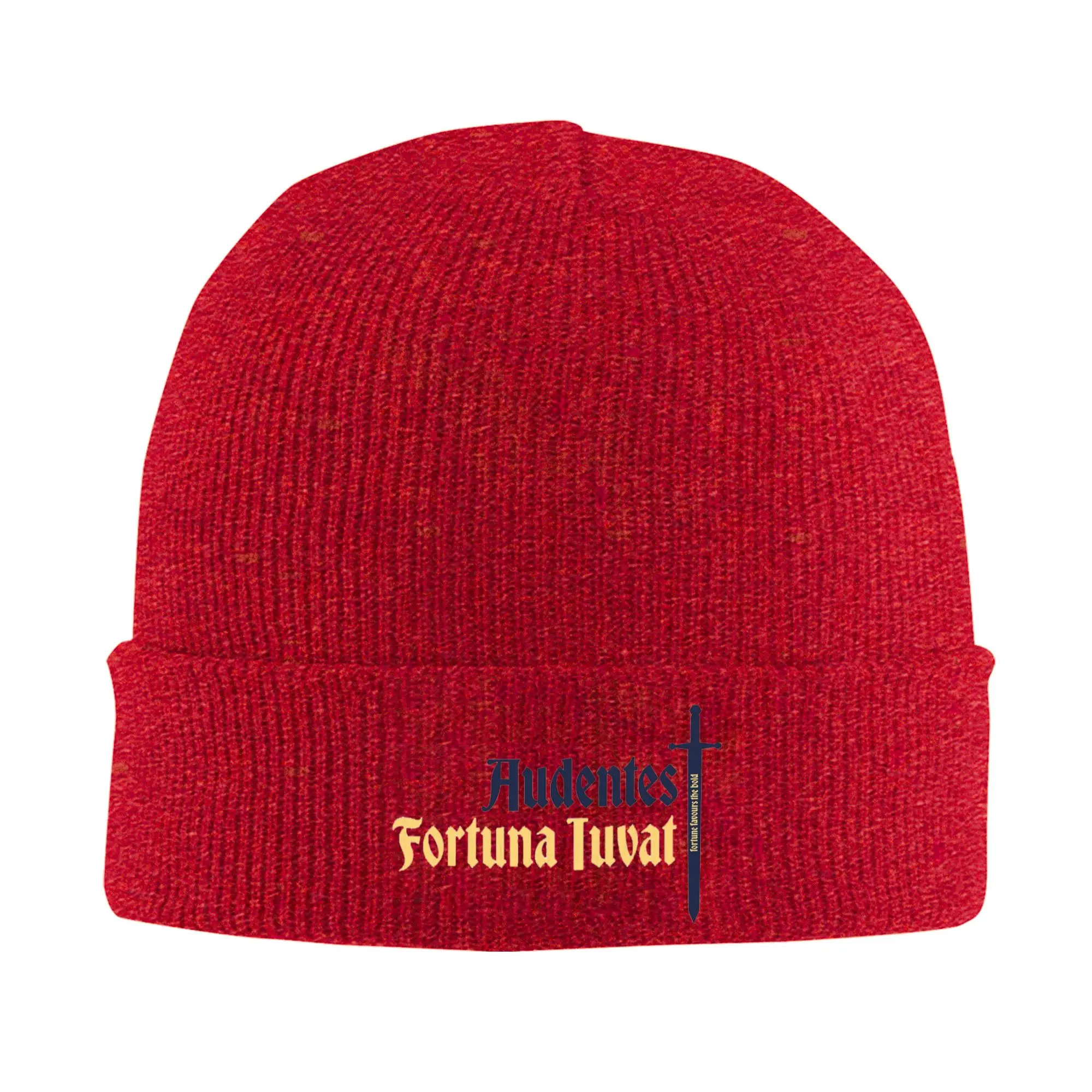 Audentes Fortuna Iuvat  Kingdom Come Deliverance 2 Winter Skullies Beanies Hat Autumn Knitted Hats Bonnet Caps for Women Men