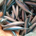 006 lx002 20pcs