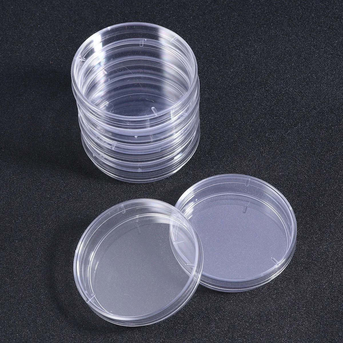 

Plastic Petri Dish Petri Dish Plastic Plastic Petri Dish with Lid Petri Dishes with Lid