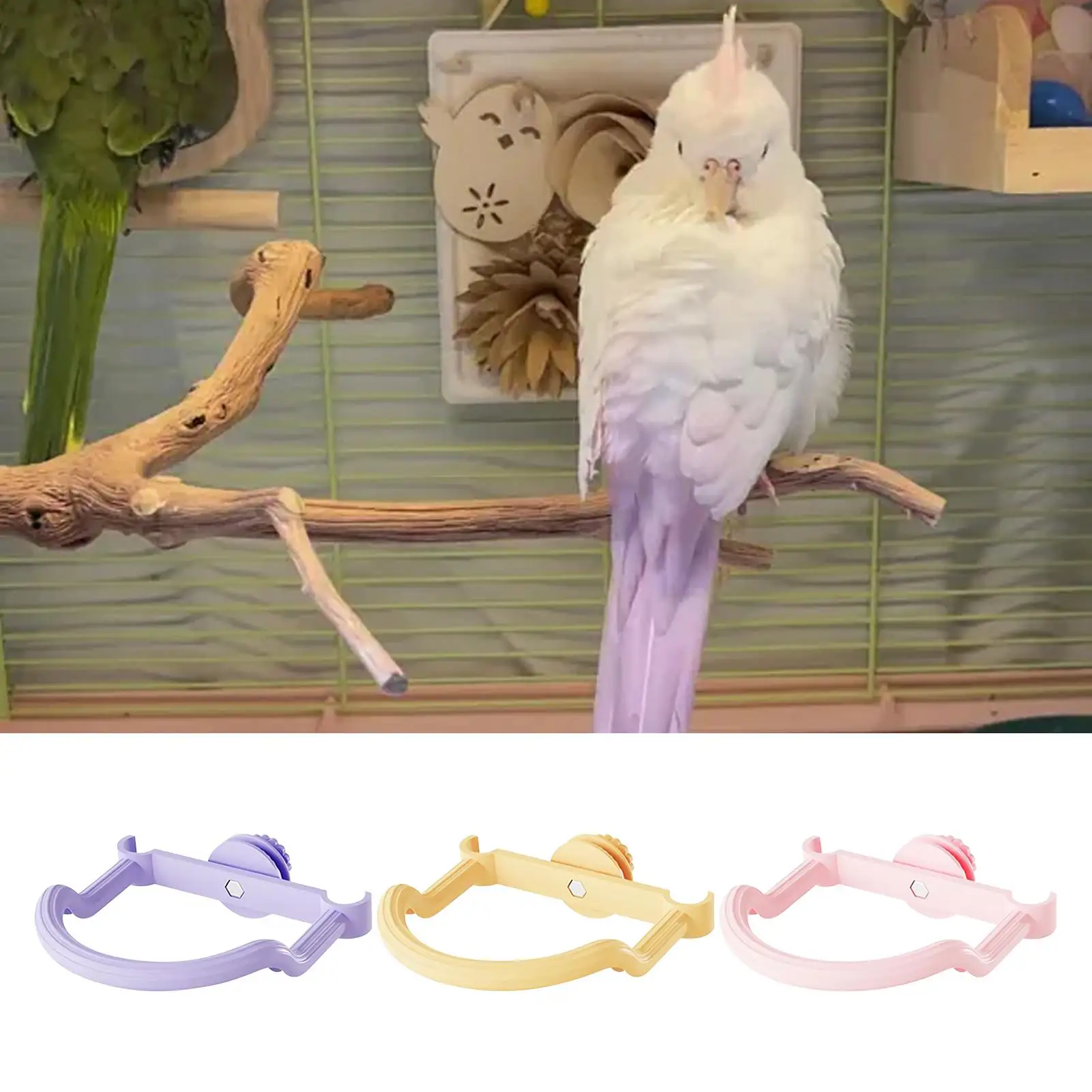 Bird Perches For Cage Bird Perches For Parakeets Standing Non-Slip Cockatiel Cage Accessories Pet Supplies For Finch Conure