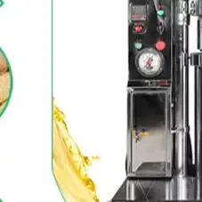 Industrial Hydraulic Oil Extraction Machine for Sesame Peanut Sunflower Coconut Olive Oil