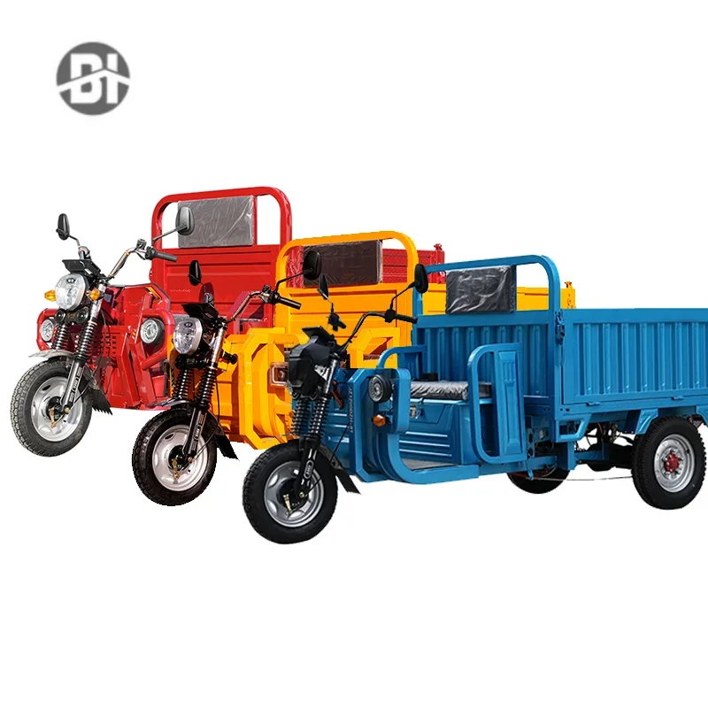 

Beihai 1000W Fast Electric Freight Tricycle Electric 3 Wheel Tricycle Adult Car Triciclo el éctricos Car