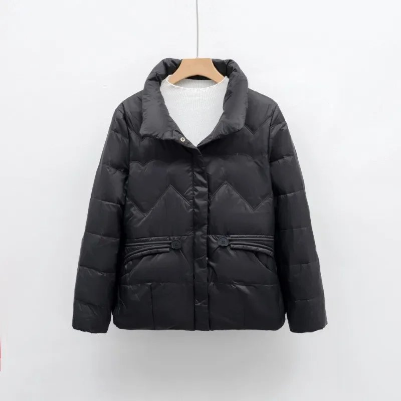 Autumn and Winter New Korean Version Short Down Jacket Fashionable Stand Up Collar Small and Simple Casual Jacket Keeping Warm