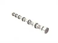 

Store code: EST57013 internal camshaft b11-fm-fm-fmx D11C