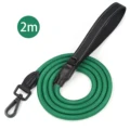 Green frosted buckle