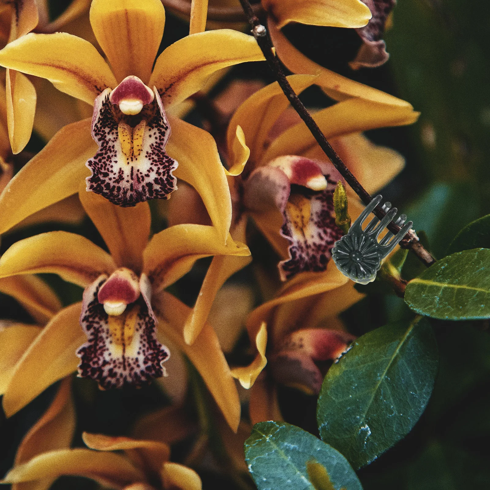 

Support Clips Vine Garden Flower Clamp Straightening Protect Orchid Clips Aid Gardening Tools Hardware