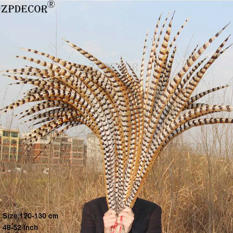 

ZPDECOR Reeves Pheasant Tail Feathers 120-130cm 48-52 Inch for Crafts And DIY Projects