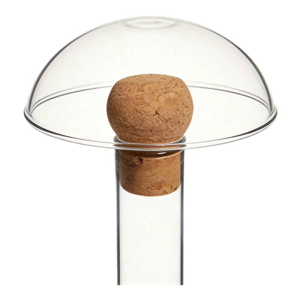 Glass Tea Steeper for Loose Leaf Tea with Precision Perforated Filter Compact Size Suitable for Daily Home Use