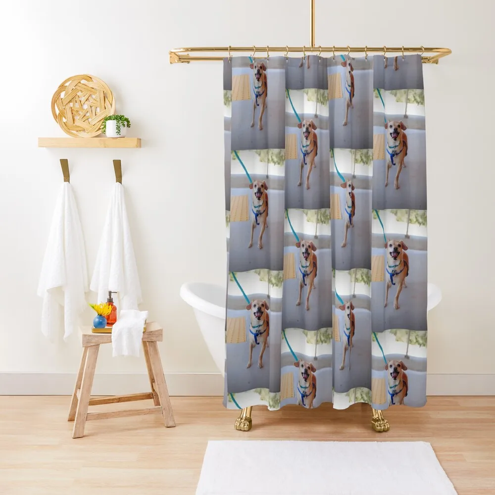 

Kenny Shower Curtain Waterproof Bath And Anti-Mold Set For Bathroom Modern Showers For Bathroom Bathroom For Shower Curtain